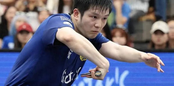 恭喜樊振东再添两场胜利，新年保持不败，德甲联赛持续碾压对手